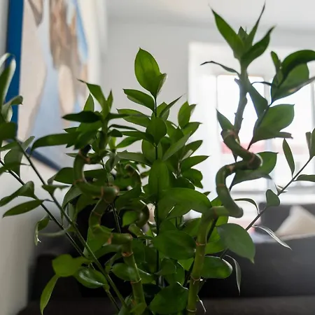 Endorfita Sonrisa - Canteras *