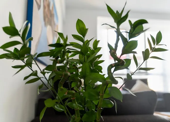 Endorfita Sonrisa - Canteras *